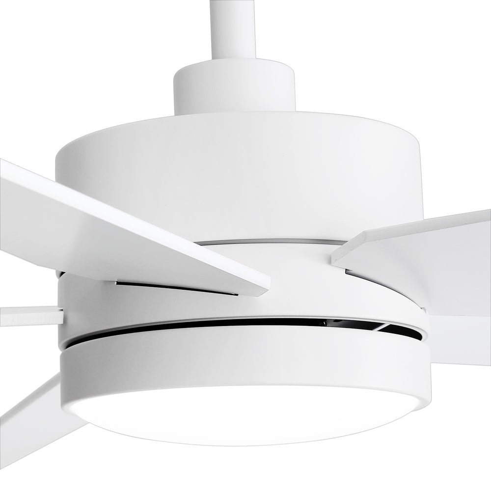 65-inch 5-Blade LED Ceiling Fan with Light and Remote，6" downrod and 20" downrod Included