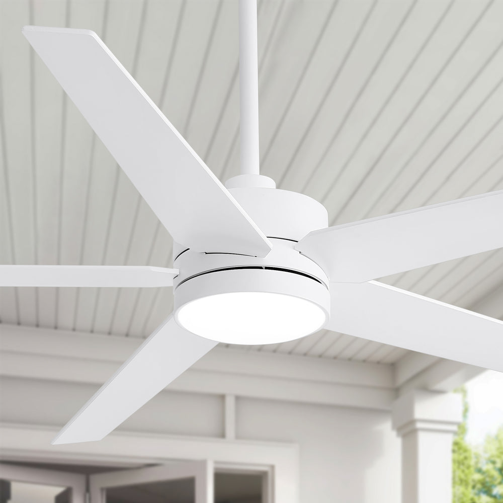 65-inch 5-Blade LED Ceiling Fan with Light and Remote，6" downrod and 20" downrod Included