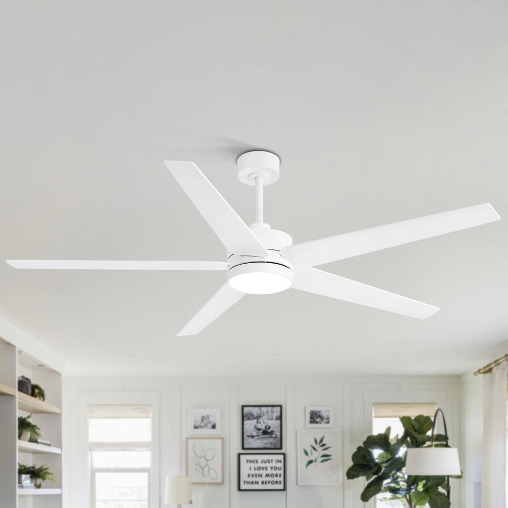 65-inch 5-Blade LED Ceiling Fan with Light and Remote，6" downrod and 20" downrod Included