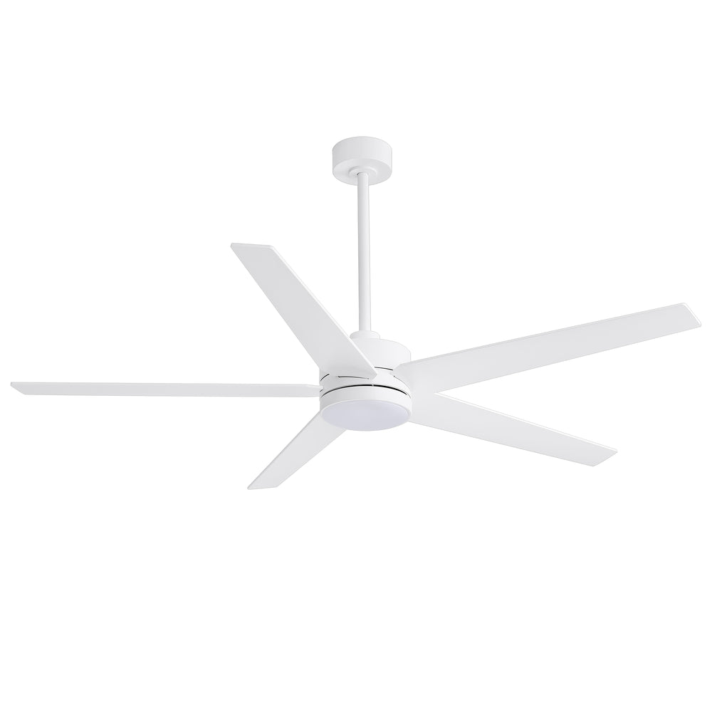 65-inch 5-Blade LED Ceiling Fan with Light and Remote，6" downrod and 20" downrod Included