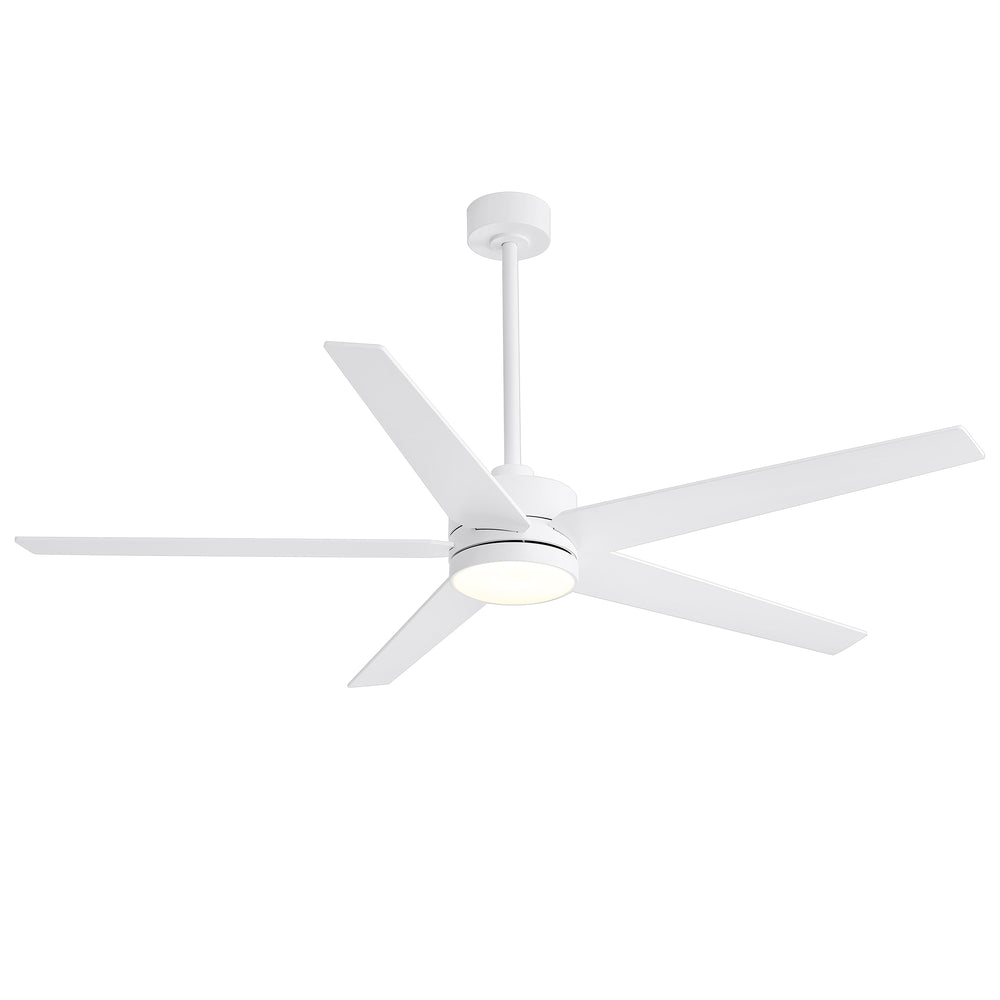 65-inch 5-Blade LED Ceiling Fan with Light and Remote，6" downrod and 20" downrod Included