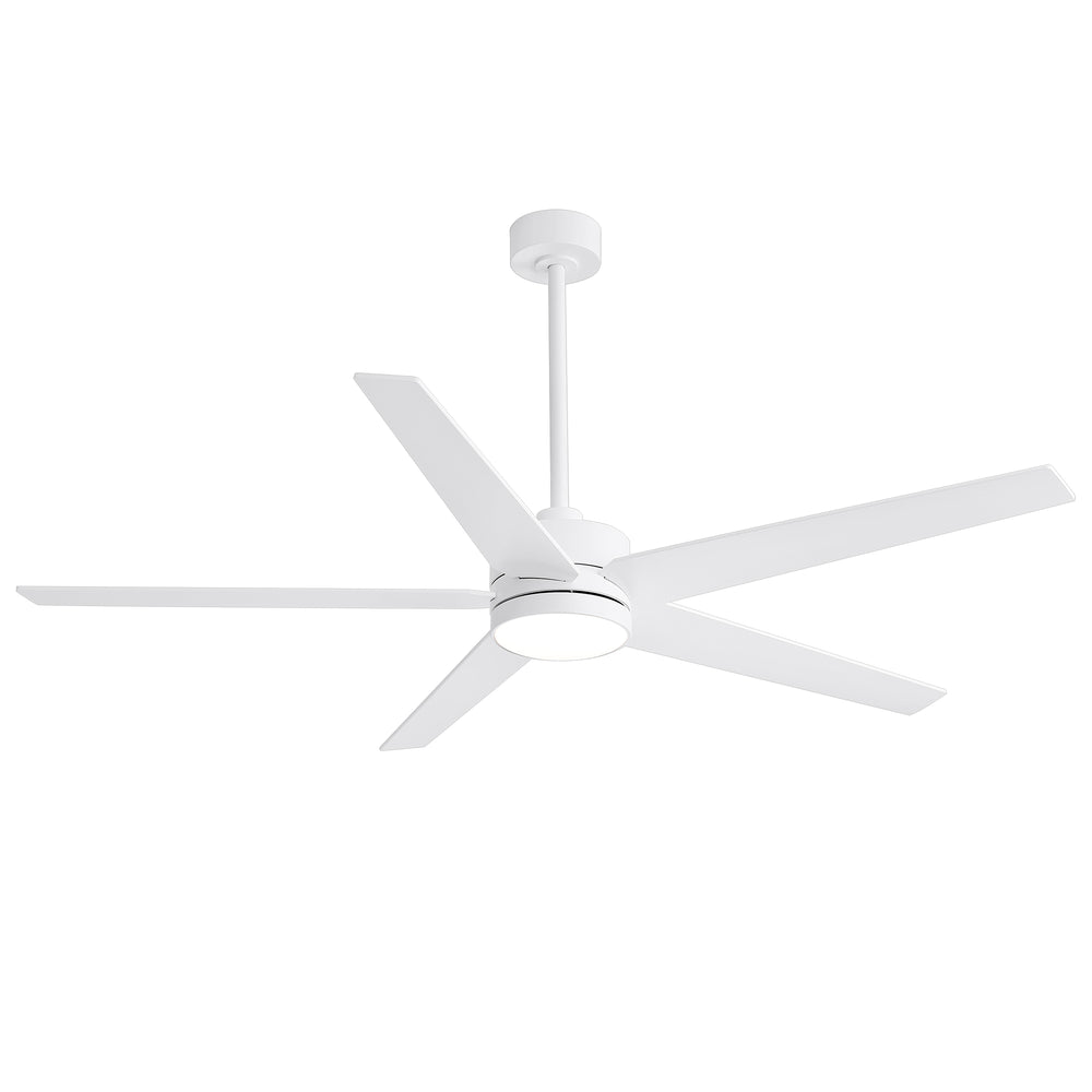 65-inch 5-Blade LED Ceiling Fan with Light and Remote，6" downrod and 20" downrod Included