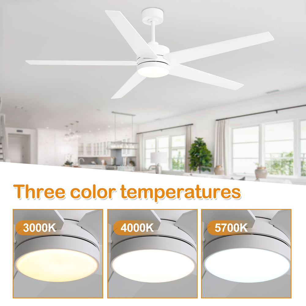 65-inch 5-Blade LED Ceiling Fan with Light and Remote，6" downrod and 20" downrod Included