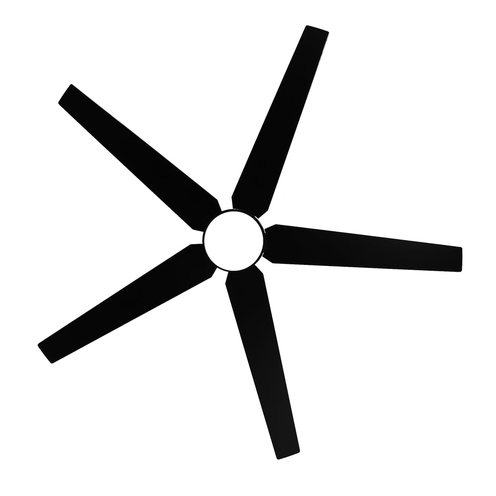 65-inch 5-Blade LED Ceiling Fan with Light and Remote，6" downrod and 20" downrod Included