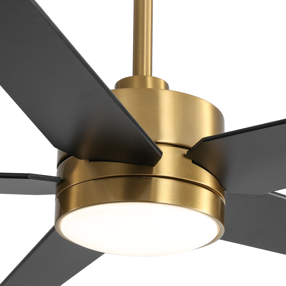65-inch 5-Blade LED Ceiling Fan with Light and Remote，6" downrod and 20" downrod Included
