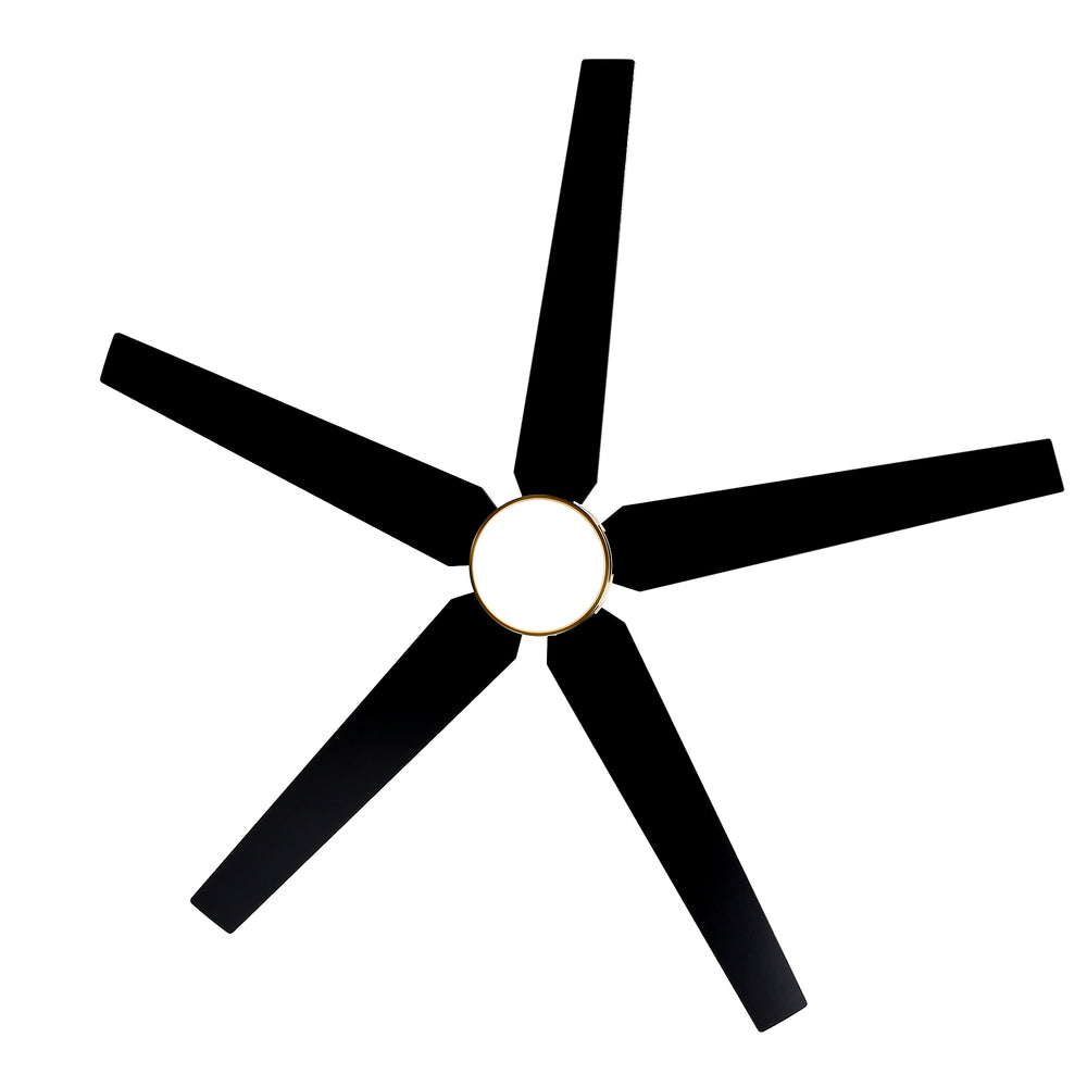 65-inch 5-Blade LED Ceiling Fan with Light and Remote，6" downrod and 20" downrod Included