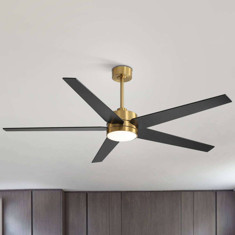 65-inch 5-Blade LED Ceiling Fan with Light and Remote，6" downrod and 20" downrod Included