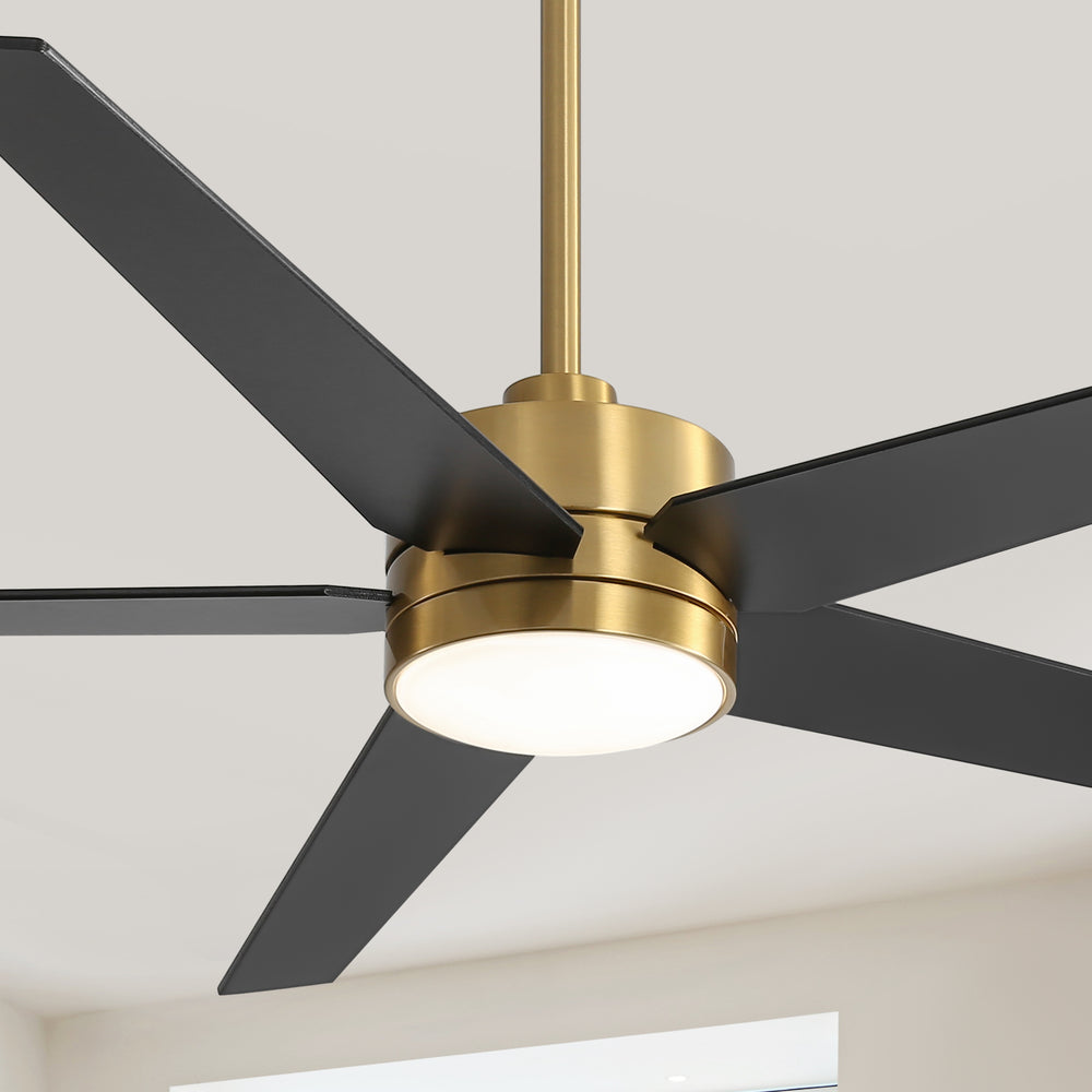 65-inch 5-Blade LED Ceiling Fan with Light and Remote，6" downrod and 20" downrod Included