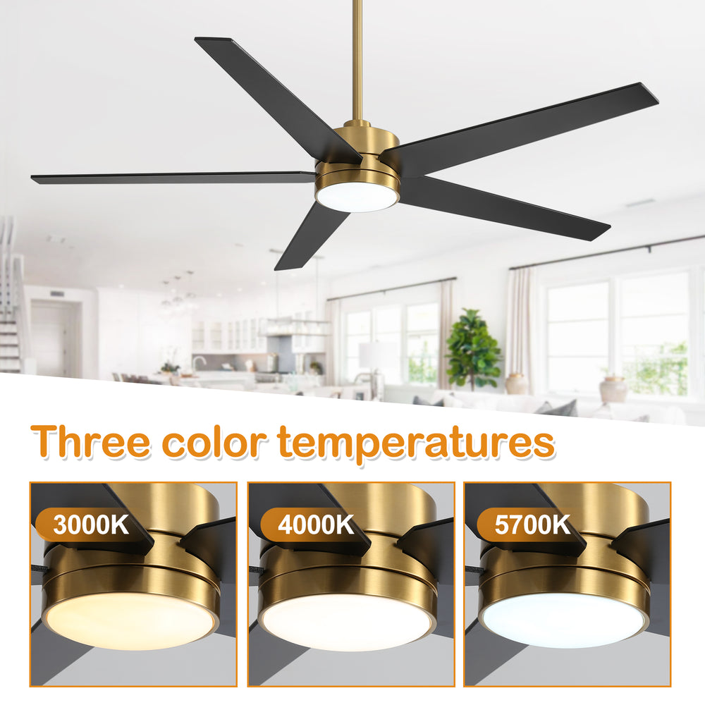 65-inch 5-Blade LED Ceiling Fan with Light and Remote，6" downrod and 20" downrod Included