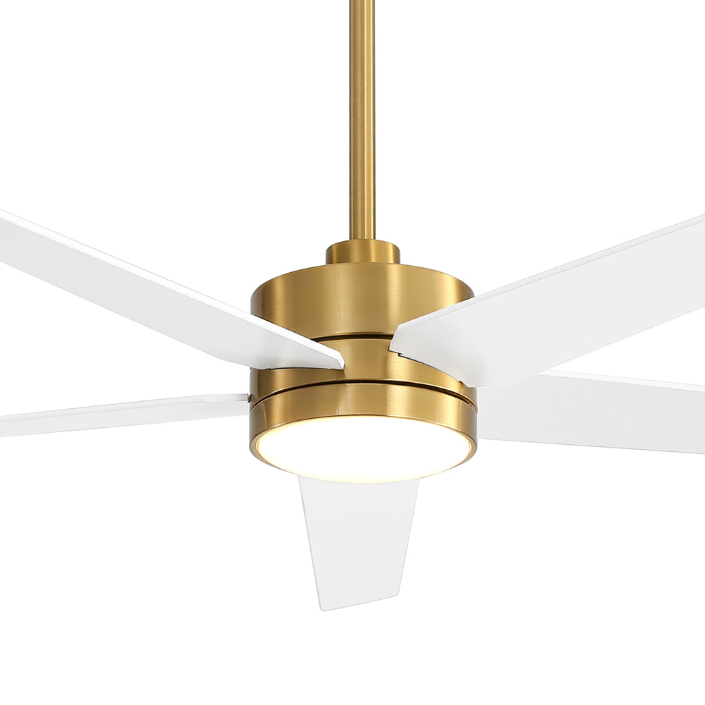 65-inch 5-Blade LED Ceiling Fan with Light and Remote，6" downrod and 20" downrod Included