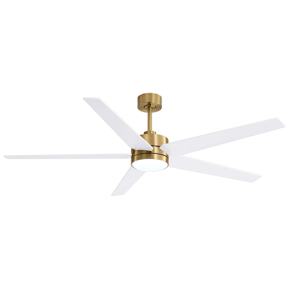 65-inch 5-Blade LED Ceiling Fan with Light and Remote，6" downrod and 20" downrod Included