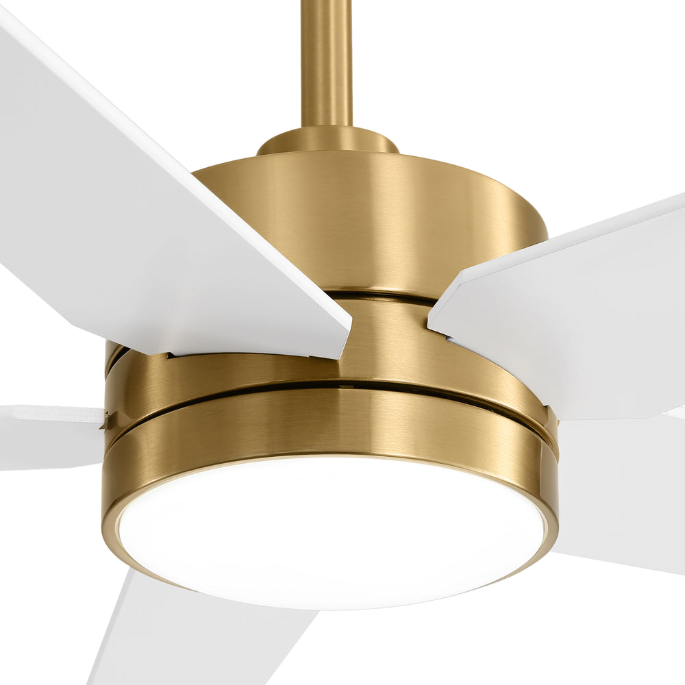 65-inch 5-Blade LED Ceiling Fan with Light and Remote，6" downrod and 20" downrod Included