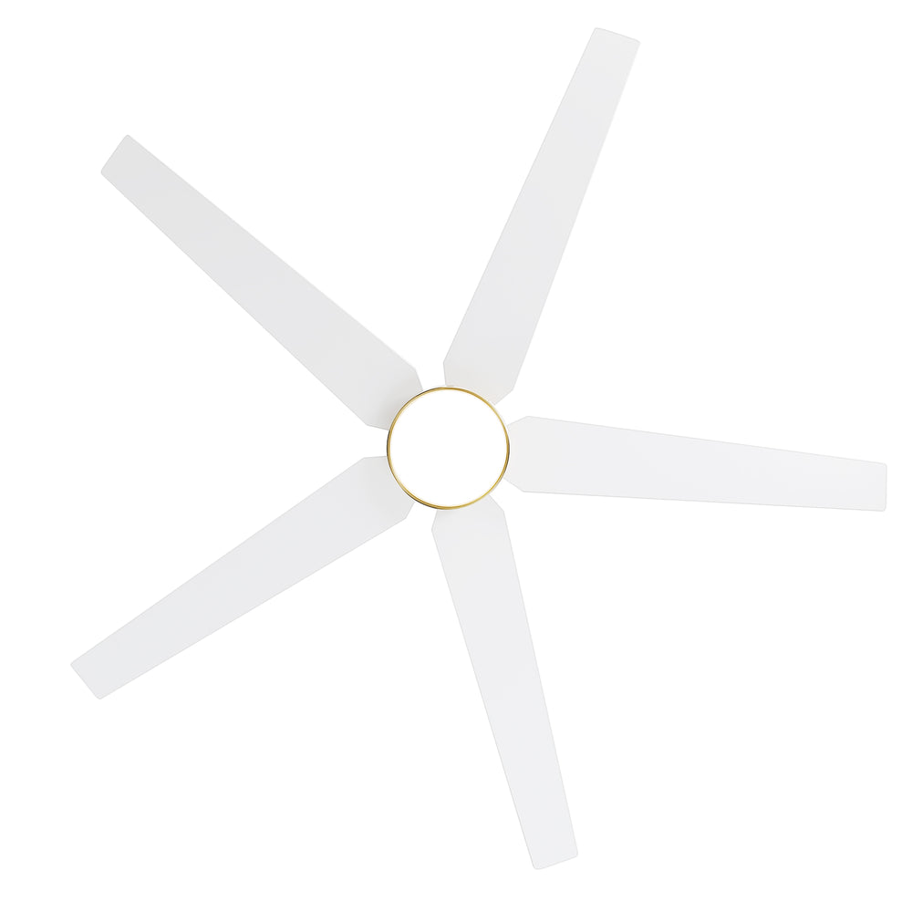 65-inch 5-Blade LED Ceiling Fan with Light and Remote，6" downrod and 20" downrod Included