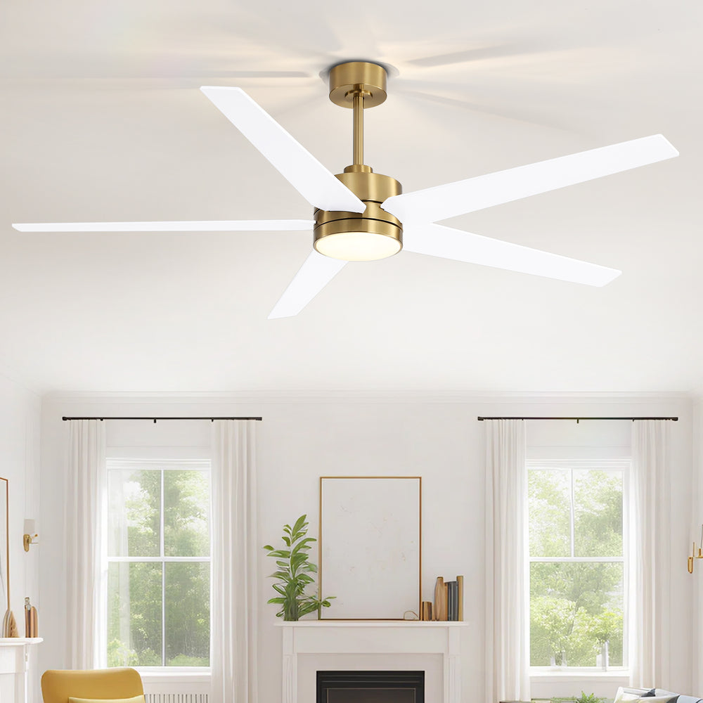 65-inch 5-Blade LED Ceiling Fan with Light and Remote，6" downrod and 20" downrod Included