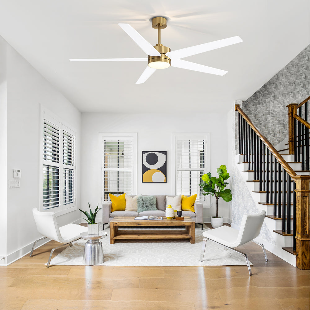 65-inch 5-Blade LED Ceiling Fan with Light and Remote，6" downrod and 20" downrod Included