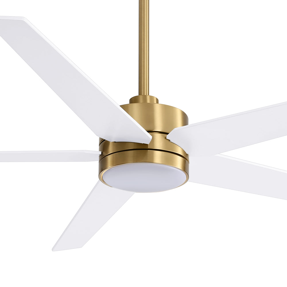 65-inch 5-Blade LED Ceiling Fan with Light and Remote，6" downrod and 20" downrod Included