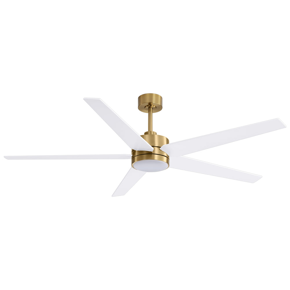 65-inch 5-Blade LED Ceiling Fan with Light and Remote，6" downrod and 20" downrod Included