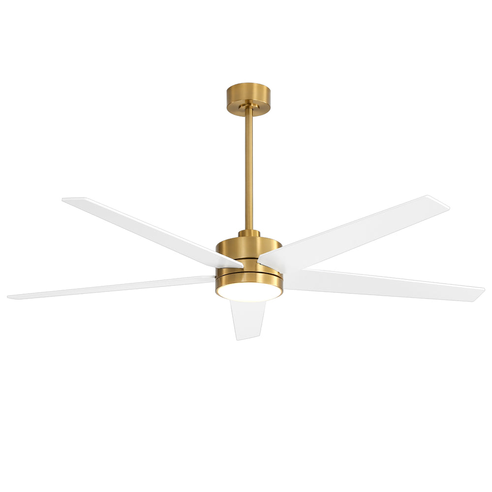 65-inch 5-Blade LED Ceiling Fan with Light and Remote，6" downrod and 20" downrod Included