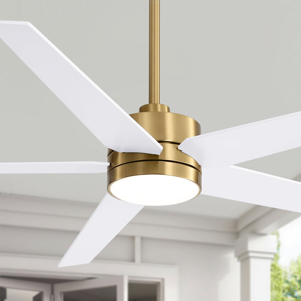 65-inch 5-Blade LED Ceiling Fan with Light and Remote，6" downrod and 20" downrod Included