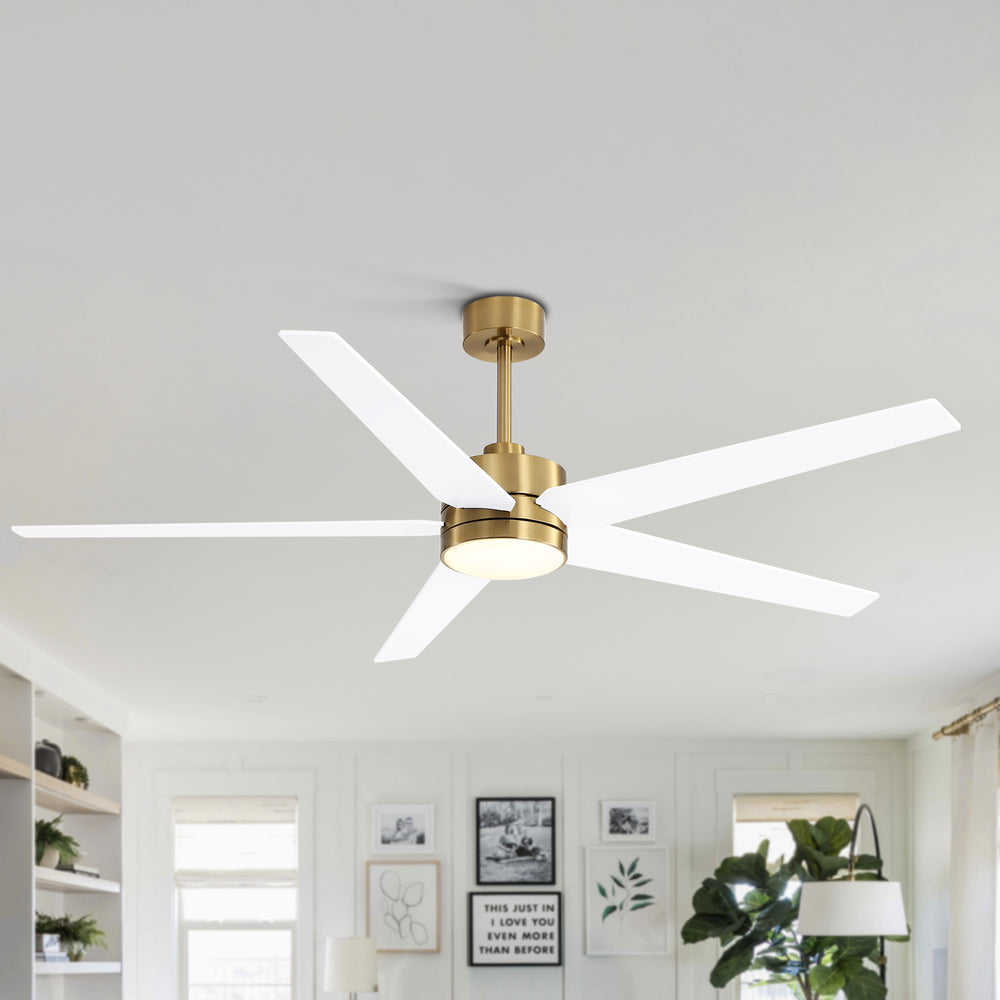 65-inch 5-Blade LED Ceiling Fan with Light and Remote，6" downrod and 20" downrod Included
