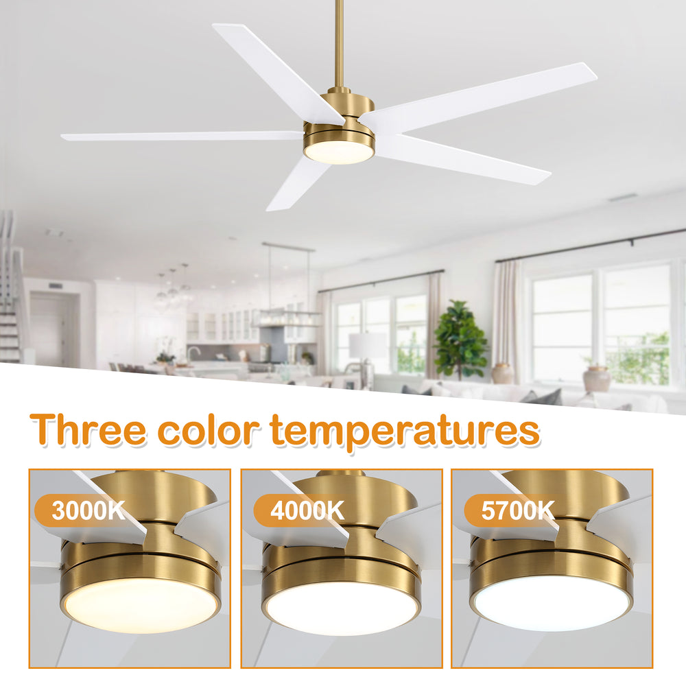65-inch 5-Blade LED Ceiling Fan with Light and Remote，6" downrod and 20" downrod Included
