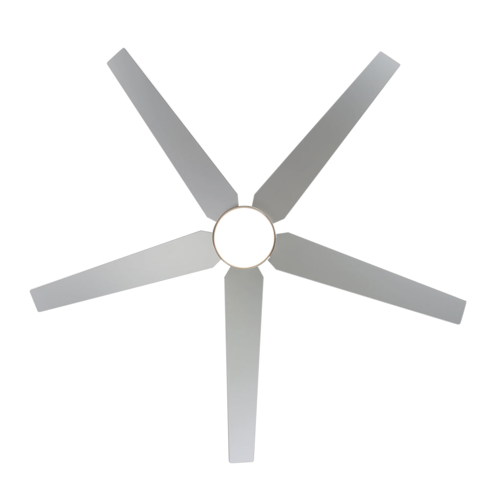 65-inch 5-Blade LED Ceiling Fan with Light and Remote，6" downrod and 20" downrod Included