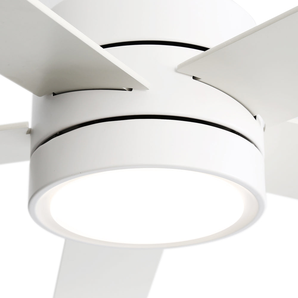 52-Inch 5-Blade LED Ceiling Fan with Light Remote,5" and 10" Downrod Included