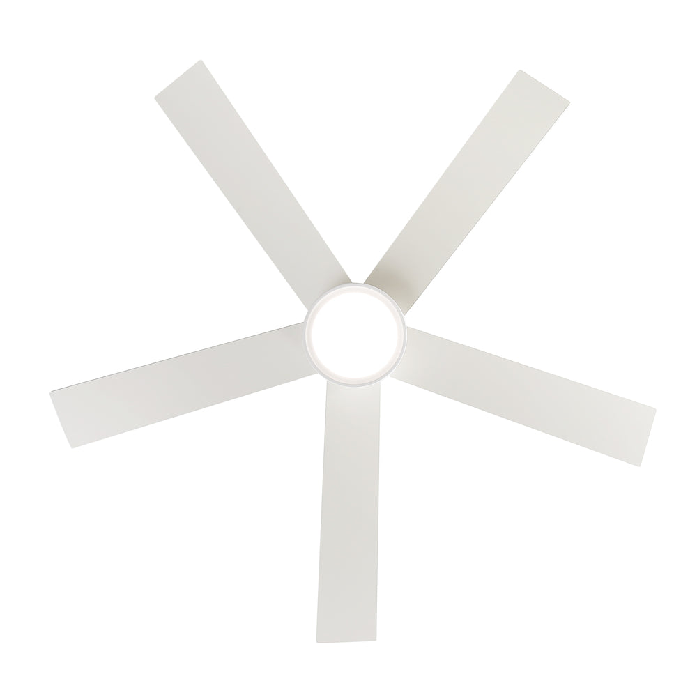 52-Inch 5-Blade LED Ceiling Fan with Light Remote,5" and 10" Downrod Included