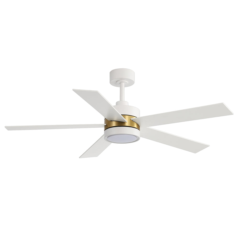 52-Inch 5-Blade LED Ceiling Fan with Light Remote,5" and 10" Downrod Included