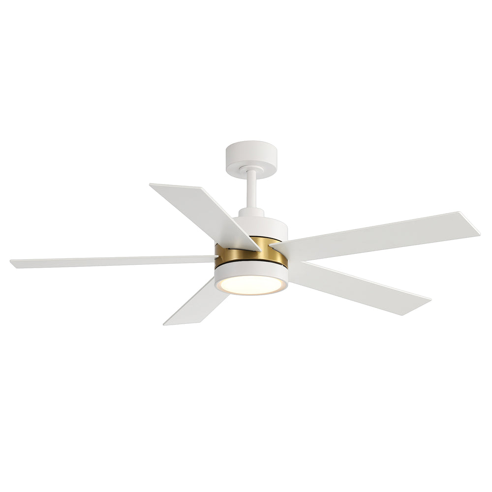 52-Inch 5-Blade LED Ceiling Fan with Light Remote,5" and 10" Downrod Included
