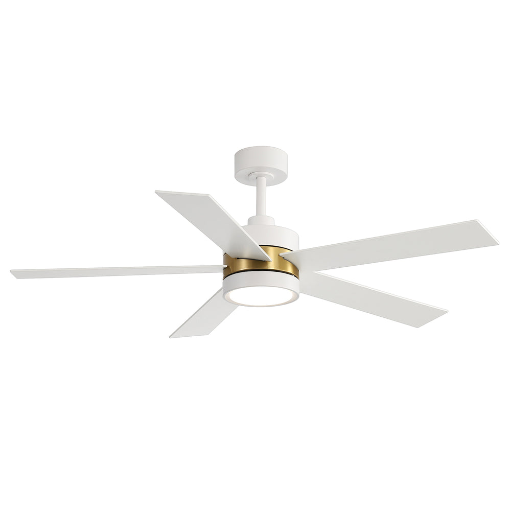 52-Inch 5-Blade LED Ceiling Fan with Light Remote,5" and 10" Downrod Included
