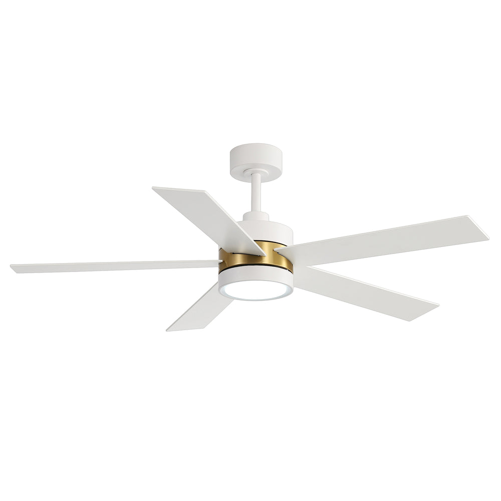 52-Inch 5-Blade LED Ceiling Fan with Light Remote,5" and 10" Downrod Included