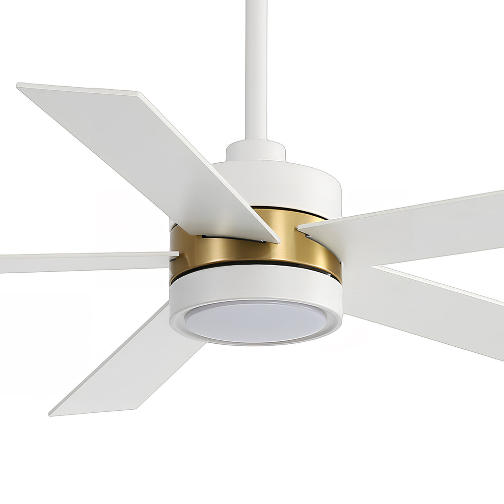 52-Inch 5-Blade LED Ceiling Fan with Light Remote,5" and 10" Downrod Included