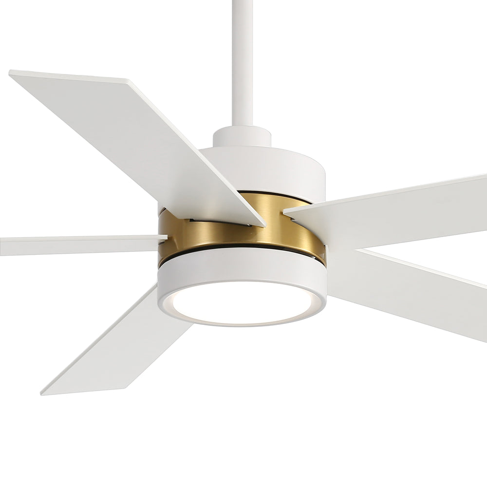 52-Inch 5-Blade LED Ceiling Fan with Light Remote,5" and 10" Downrod Included