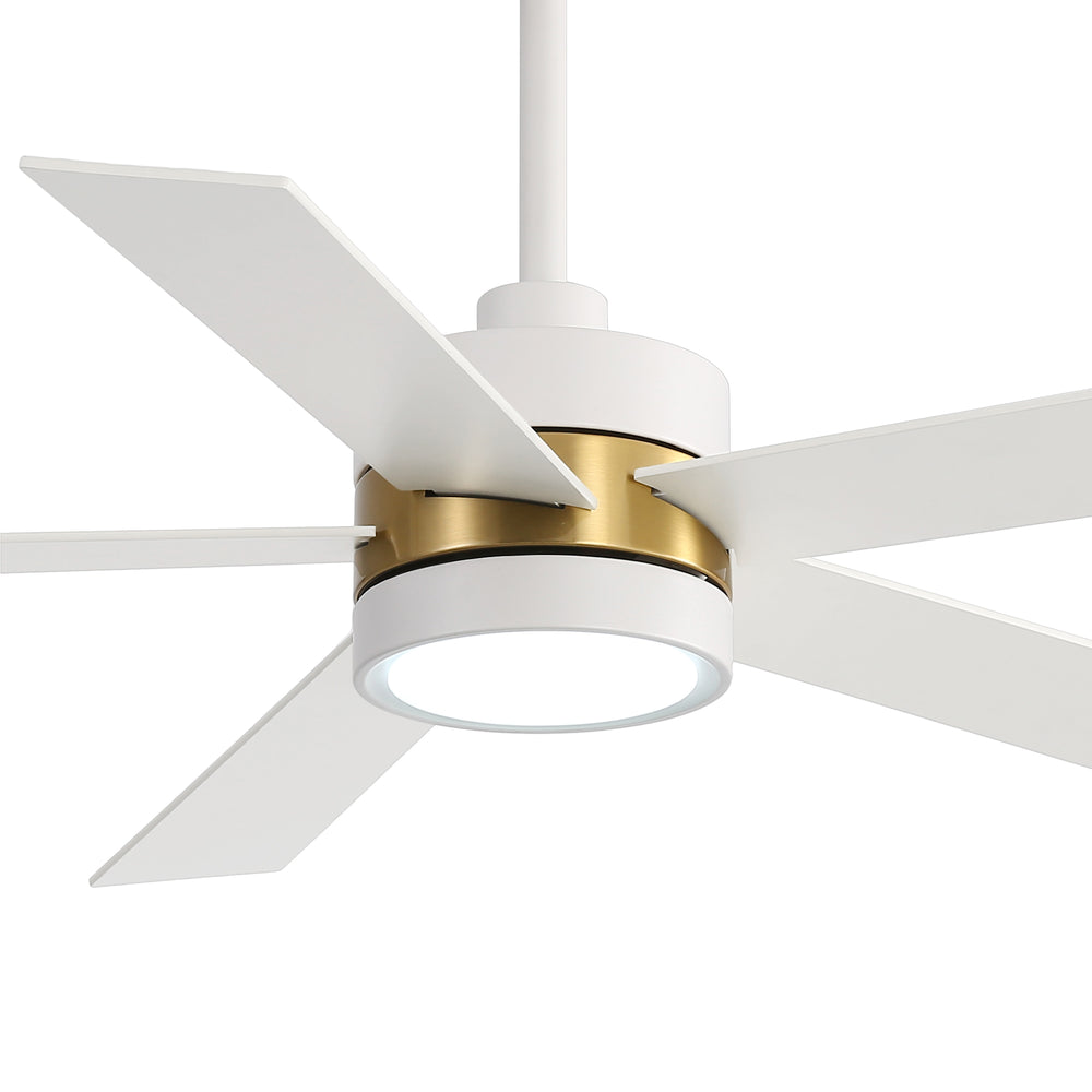 52-Inch 5-Blade LED Ceiling Fan with Light Remote,5" and 10" Downrod Included