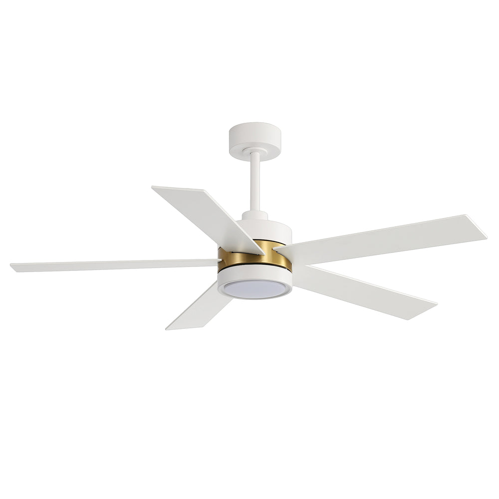 52-Inch 5-Blade LED Ceiling Fan with Light Remote,5" and 10" Downrod Included