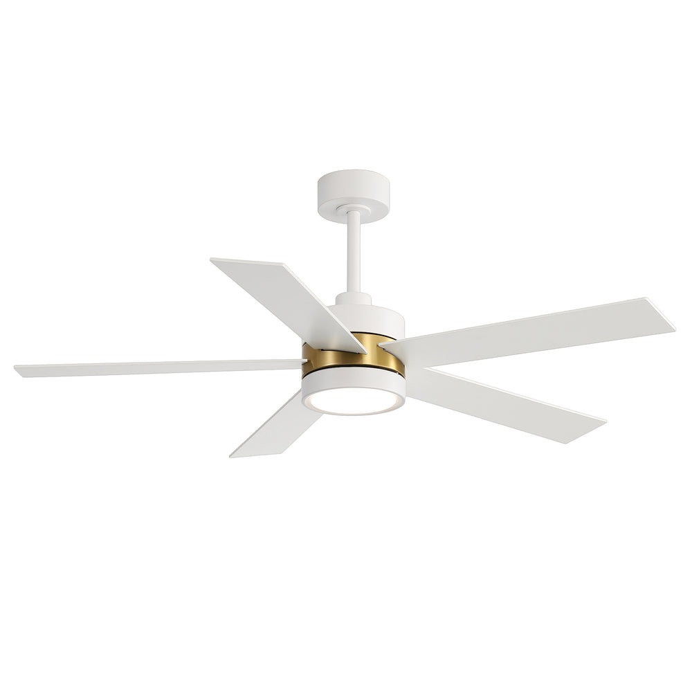 52-Inch 5-Blade LED Ceiling Fan with Light Remote,5" and 10" Downrod Included