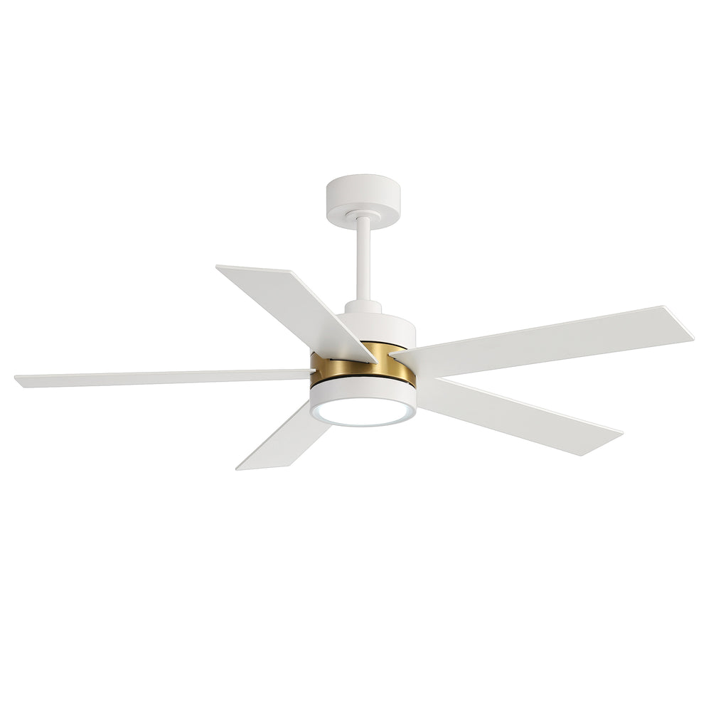 52-Inch 5-Blade LED Ceiling Fan with Light Remote,5" and 10" Downrod Included