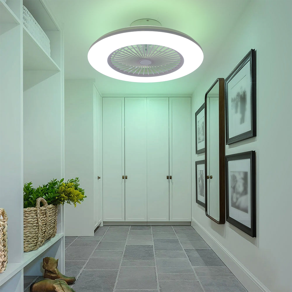 22-inch  Enclosed Low Profile Caged Smart LED Ceiling Fan Works with Alexa/Google/APP
