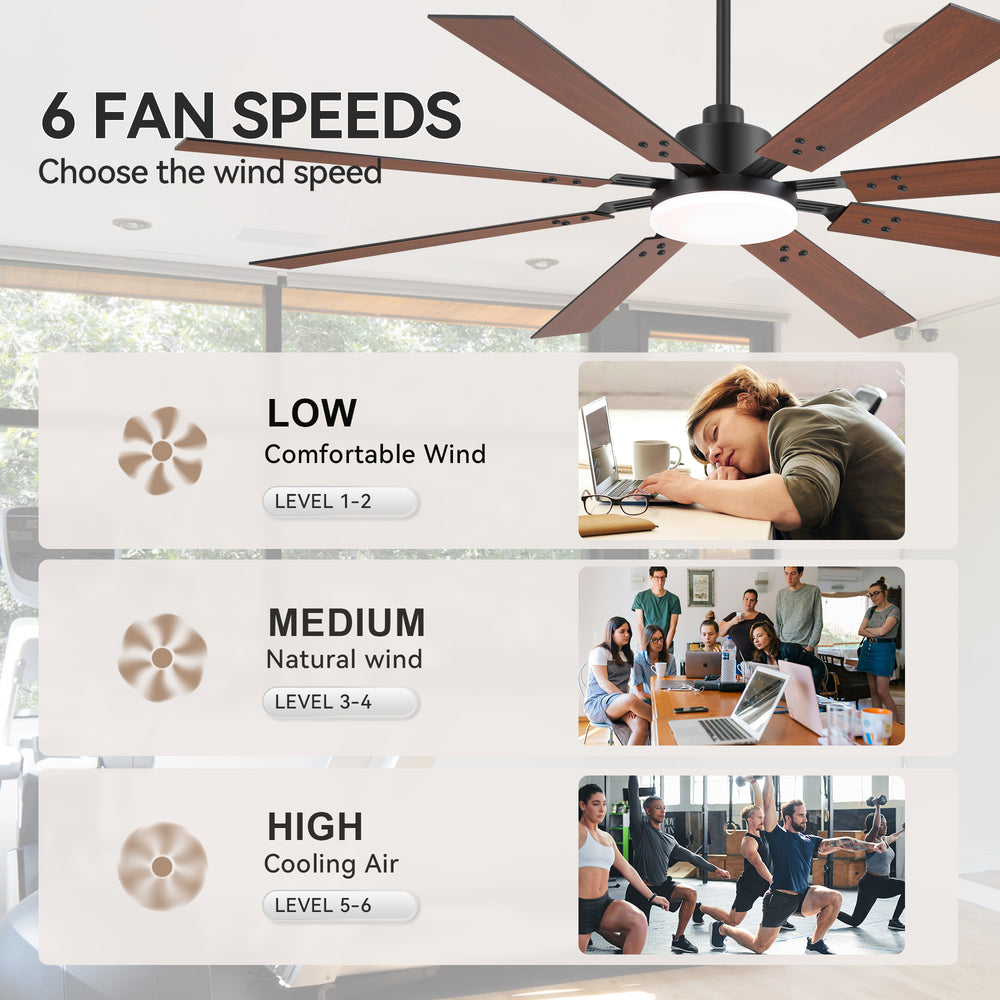 Breezary 72-inch Reversible 8-Blade Silent DC Motor Ceiling Fan with Integrated LED Light - Black