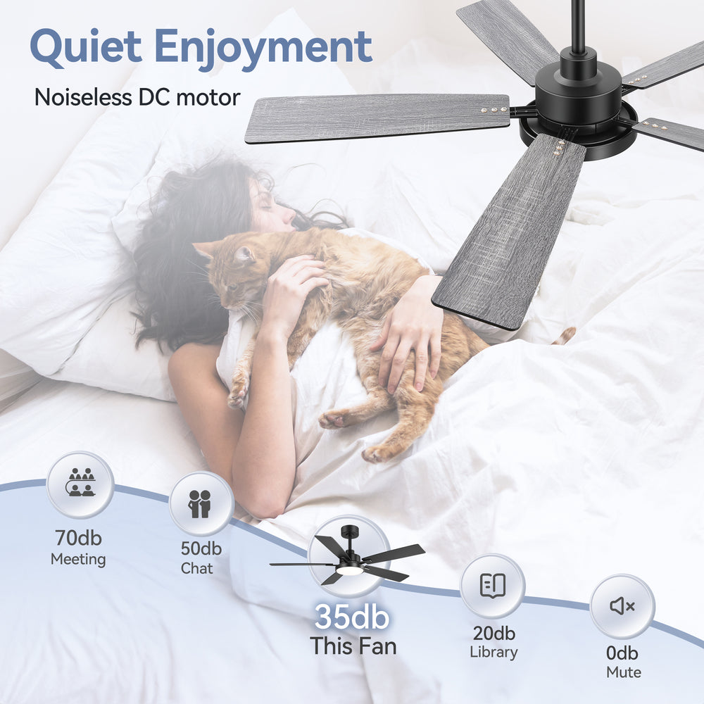 Ventari 52-Inch Black 5-Blade Ceiling Fan With Light & Remote