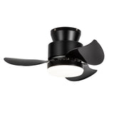 Galon 22-Inch Low Profile Small Ceiling Fan With Light & Remote