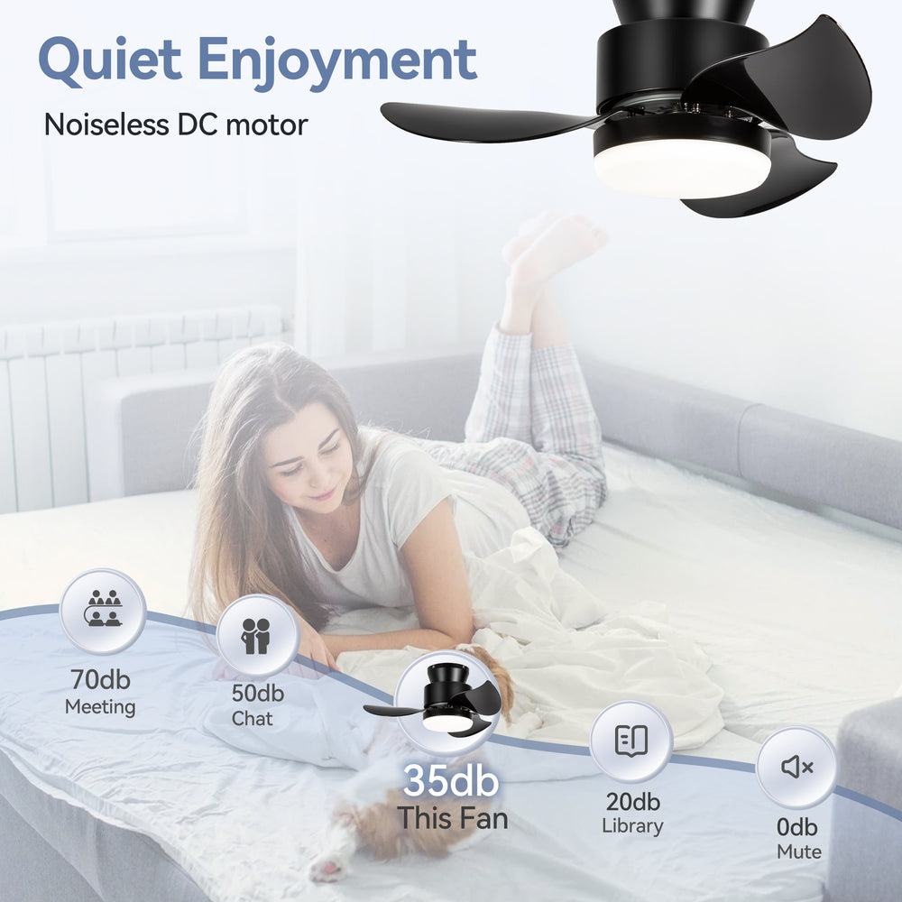 Galon 22-Inch Low Profile Small Ceiling Fan With Light & Remote