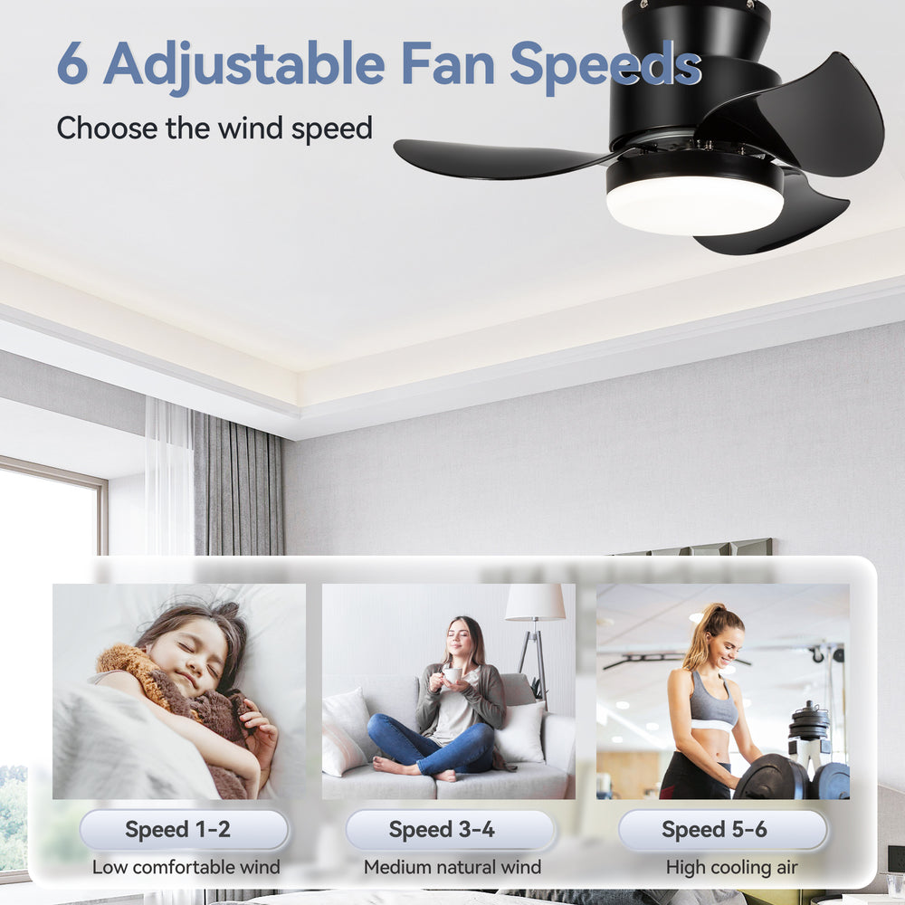 Galon 22-Inch Low Profile Small Ceiling Fan With Light & Remote