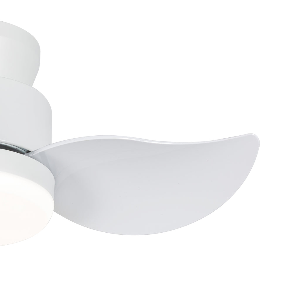 Galon 22-Inch Low Profile Small Ceiling Fan With Light & Remote