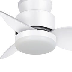 Ceiling Fans with Lights Remote, Modern Low Profile Ceiling Fan, Flush Mount, Noiseless, 3CCT, 6 speeds, Timer, Small Ceiling Fan for Living Room Bedroom