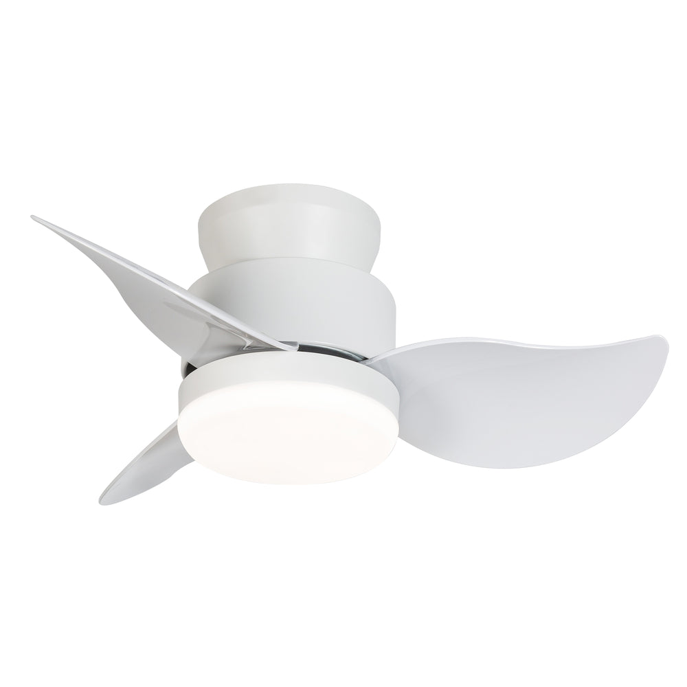 Galon 22-Inch Low Profile Small Ceiling Fan With Light & Remote