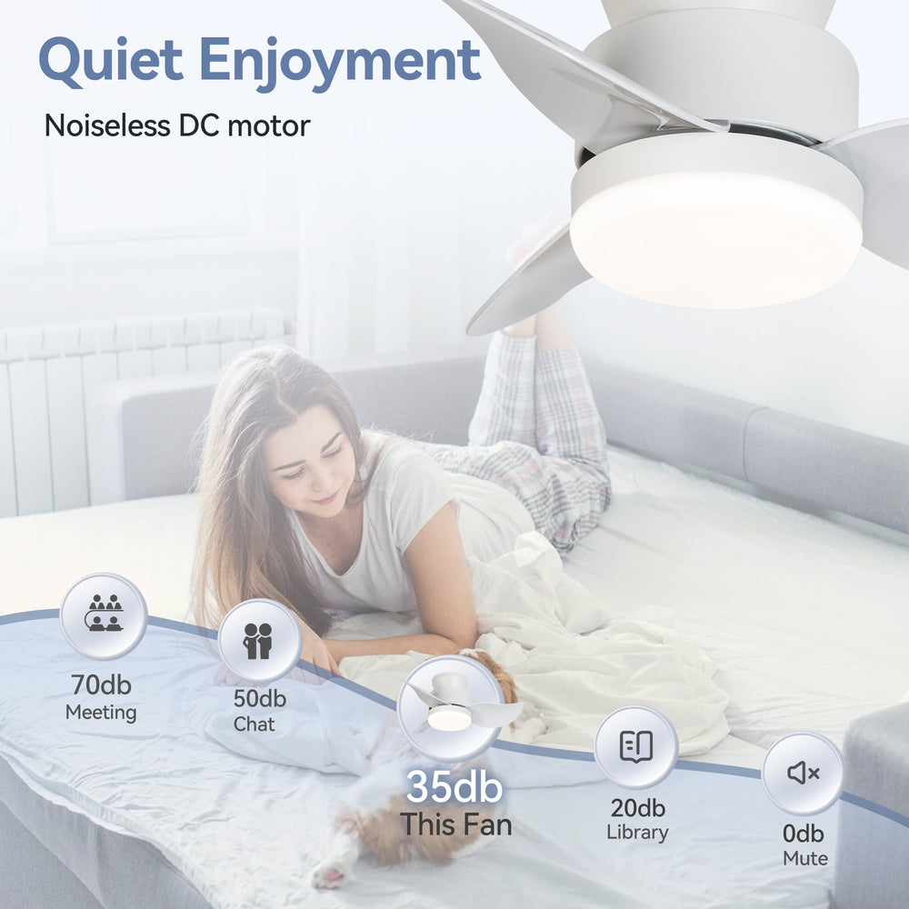 Galon 22-Inch Low Profile Small Ceiling Fan With Light & Remote