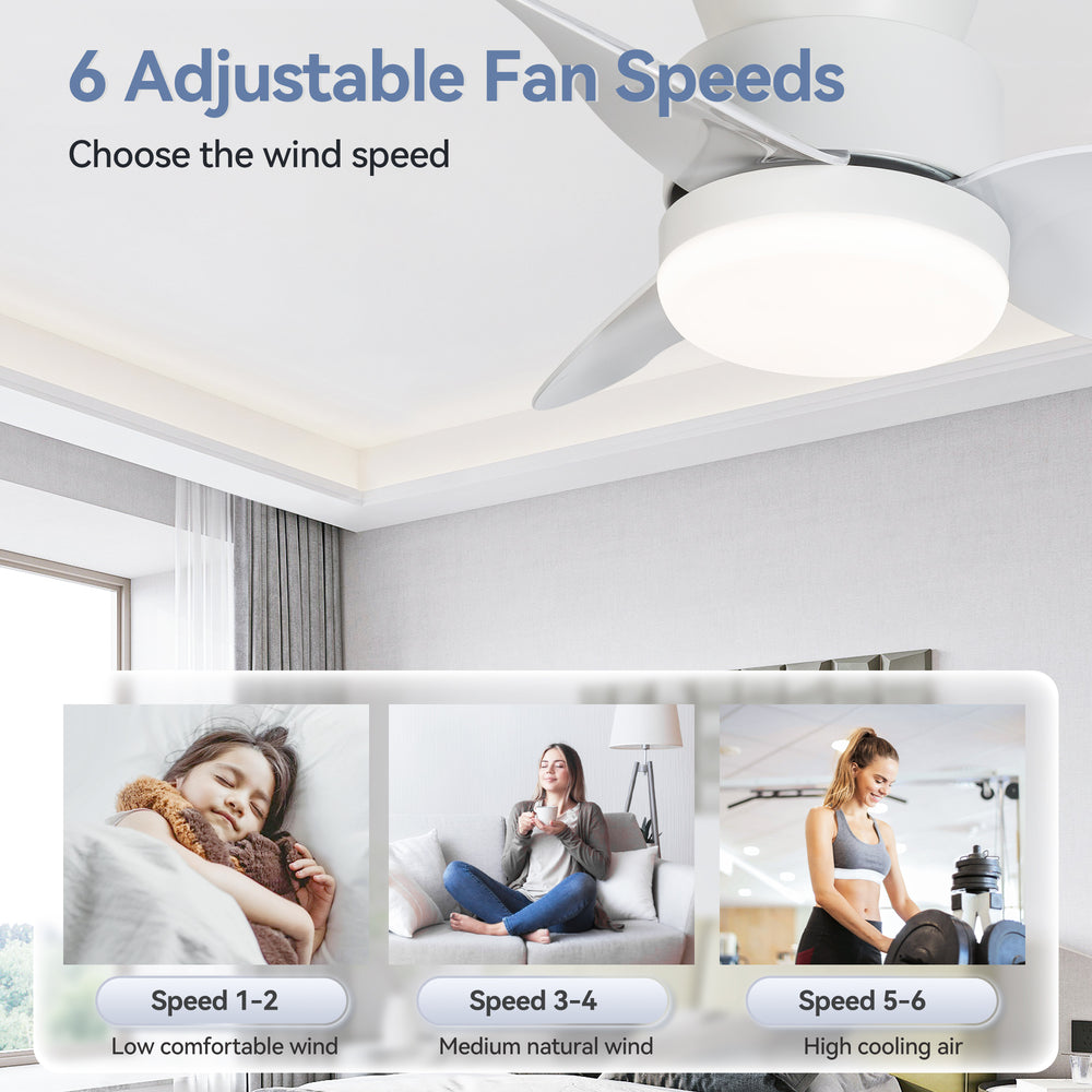 Galon 22-Inch Low Profile Small Ceiling Fan With Light & Remote