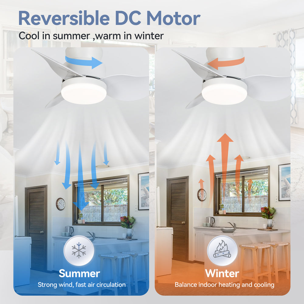 Galon 22-Inch Low Profile Small Ceiling Fan With Light & Remote